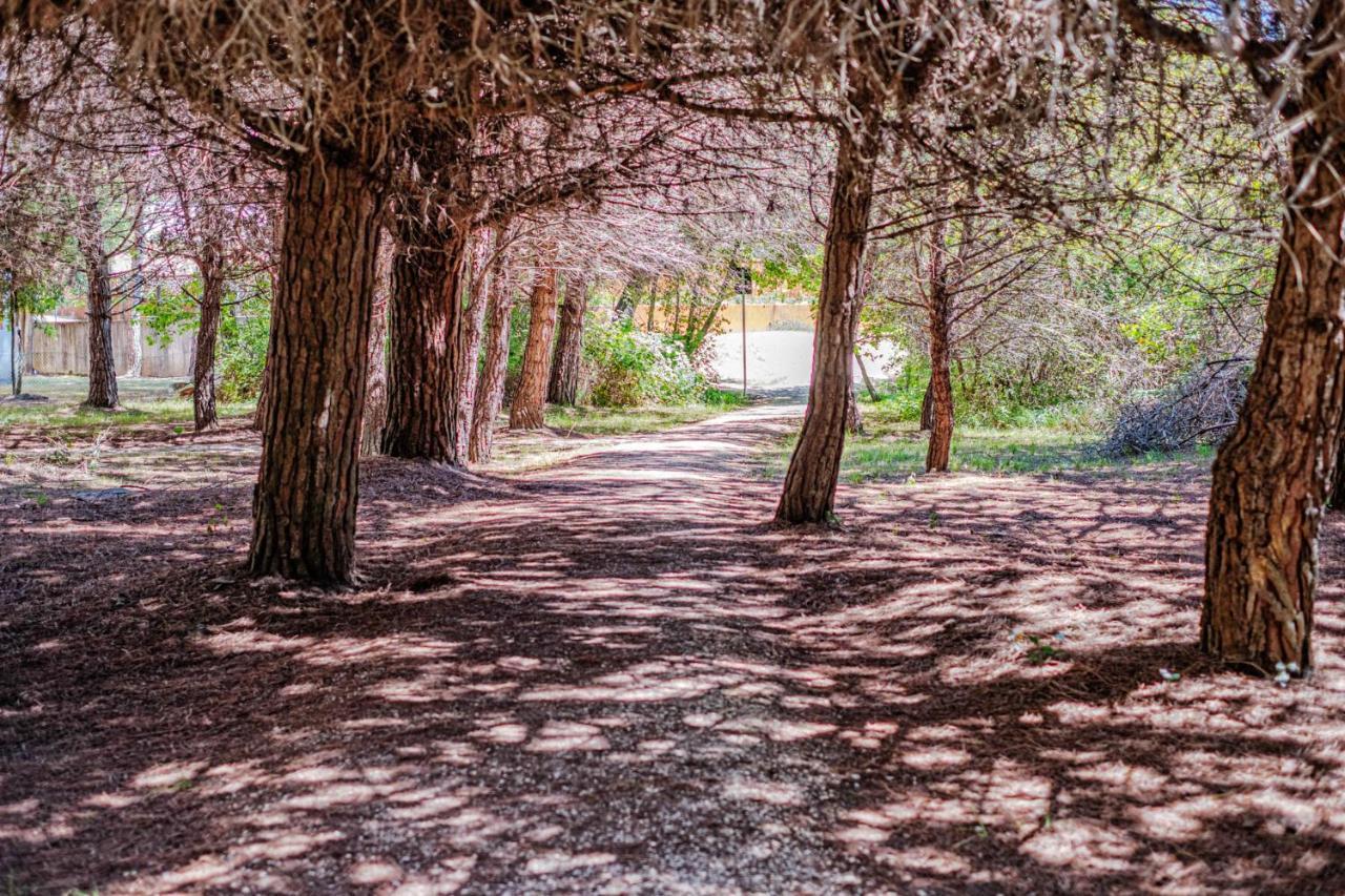 Bosco Canoro Bibione Resort Екстериор снимка